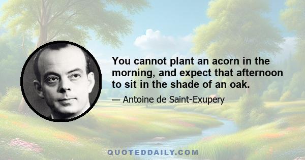 You cannot plant an acorn in the morning, and expect that afternoon to sit in the shade of an oak.