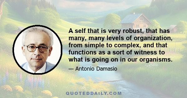 A self that is very robust, that has many, many levels of organization, from simple to complex, and that functions as a sort of witness to what is going on in our organisms.