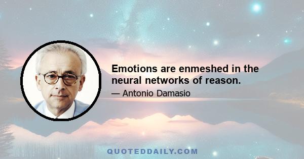 Emotions are enmeshed in the neural networks of reason.