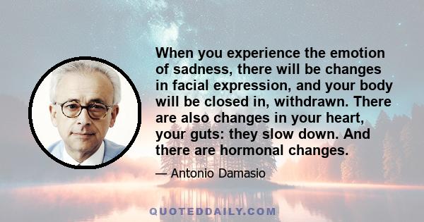 When you experience the emotion of sadness, there will be changes in facial expression, and your body will be closed in, withdrawn. There are also changes in your heart, your guts: they slow down. And there are hormonal 