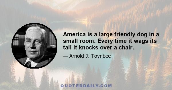 America is a large friendly dog in a small room. Every time it wags its tail it knocks over a chair.