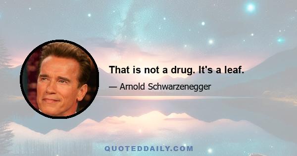 That is not a drug. It's a leaf.
