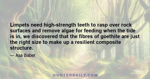 Limpets need high-strength teeth to rasp over rock surfaces and remove algae for feeding when the tide is in, we discovered that the fibres of goethite are just the right size to make up a resilient composite structure.