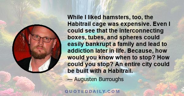 While I liked hamsters, too, the Habitrail cage was expensive. Even I could see that the interconnecting boxes, tubes, and spheres could easily bankrupt a family and lead to addiction later in life. Because, how would