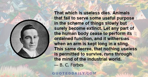 That which is useless dies. Animals that fail to serve some useful purpose in the scheme of things slowly but surely become extinct. Let any part of the human body cease to perform its ordained function, and it