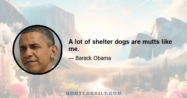 A lot of shelter dogs are mutts like me.