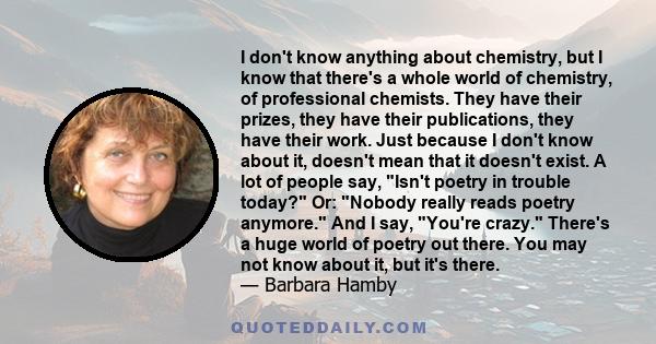 I don't know anything about chemistry, but I know that there's a whole world of chemistry, of professional chemists. They have their prizes, they have their publications, they have their work. Just because I don't know