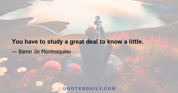 You have to study a great deal to know a little.