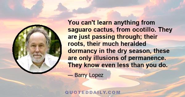 You can't learn anything from saguaro cactus, from ocotillo. They are just passing through; their roots, their much heralded dormancy in the dry season, these are only illusions of permanence. They know even less than