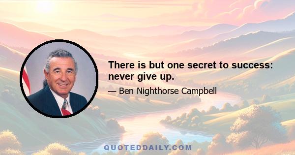 There is but one secret to success: never give up.