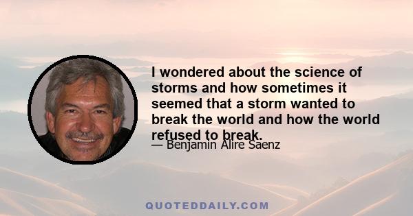 I wondered about the science of storms and how sometimes it seemed that a storm wanted to break the world and how the world refused to break.