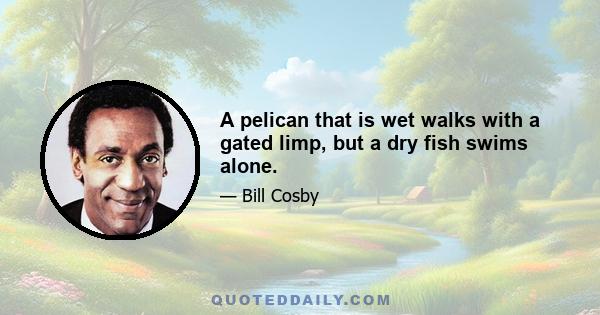 A pelican that is wet walks with a gated limp, but a dry fish swims alone.