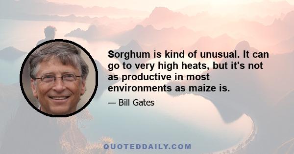 Sorghum is kind of unusual. It can go to very high heats, but it's not as productive in most environments as maize is.