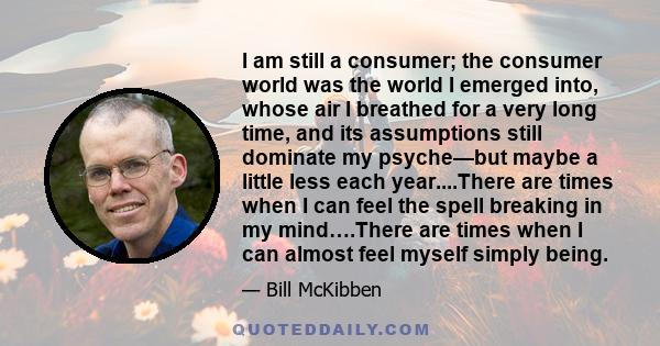 I am still a consumer; the consumer world was the world I emerged into, whose air I breathed for a very long time, and its assumptions still dominate my psyche—but maybe a little less each year....There are times when I 