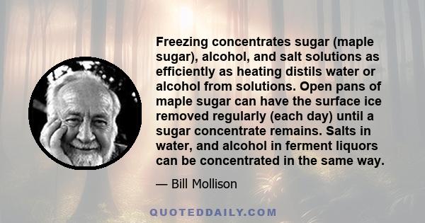 Freezing concentrates sugar (maple sugar), alcohol, and salt solutions as efficiently as heating distils water or alcohol from solutions. Open pans of maple sugar can have the surface ice removed regularly (each day)