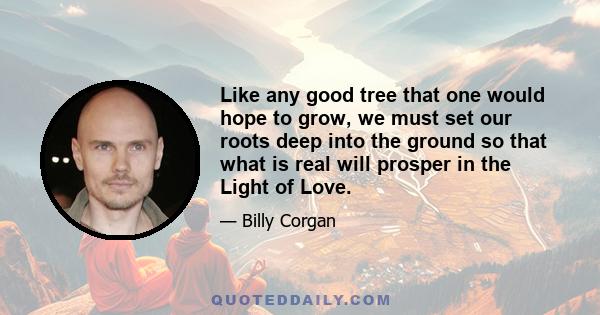 Like any good tree that one would hope to grow, we must set our roots deep into the ground so that what is real will prosper in the Light of Love.