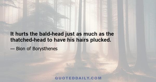 It hurts the bald-head just as much as the thatched-head to have his hairs plucked.