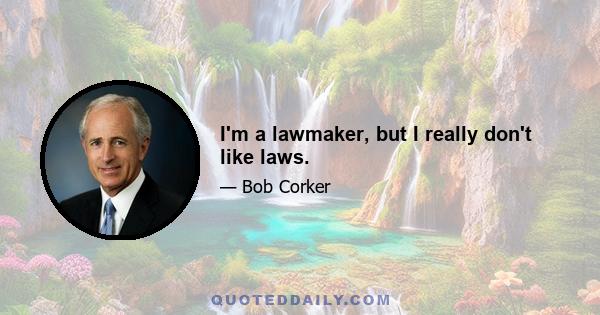 I'm a lawmaker, but I really don't like laws.