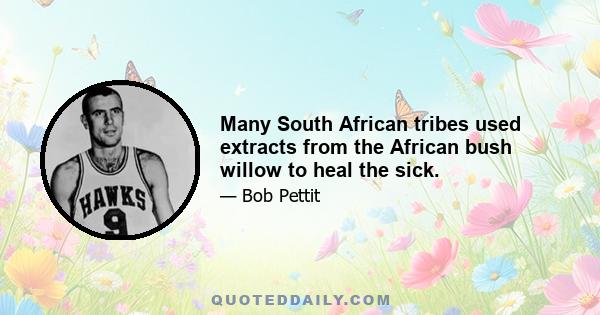 Many South African tribes used extracts from the African bush willow to heal the sick.