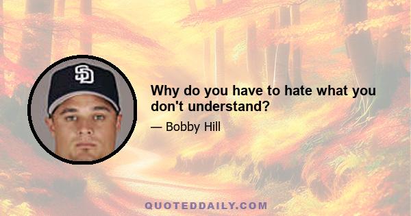 Why do you have to hate what you don't understand?