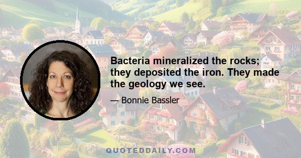 Bacteria mineralized the rocks; they deposited the iron. They made the geology we see.