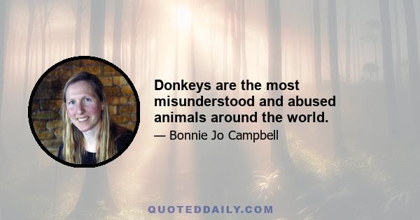 Donkeys are the most misunderstood and abused animals around the world.