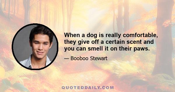 When a dog is really comfortable, they give off a certain scent and you can smell it on their paws.