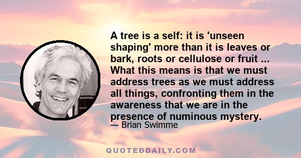 A tree is a self: it is 'unseen shaping' more than it is leaves or bark, roots or cellulose or fruit ... What this means is that we must address trees as we must address all things, confronting them in the awareness