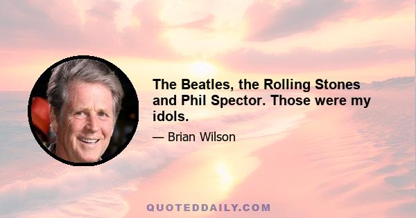 The Beatles, the Rolling Stones and Phil Spector. Those were my idols.