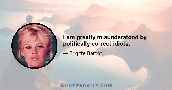 I am greatly misunderstood by politically correct idiots.