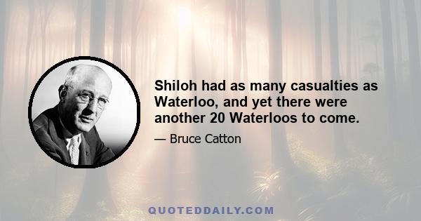 Shiloh had as many casualties as Waterloo, and yet there were another 20 Waterloos to come.