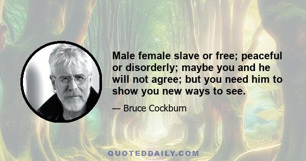 Male female slave or free; peaceful or disorderly; maybe you and he will not agree; but you need him to show you new ways to see.