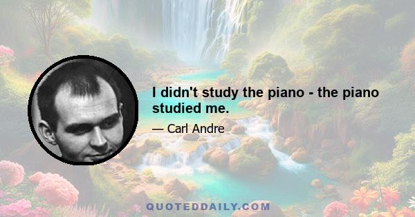 I didn't study the piano - the piano studied me.