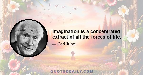 Imagination is a concentrated extract of all the forces of life.