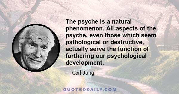 The psyche is a natural phenomenon. All aspects of the psyche, even those which seem pathological or destructive, actually serve the function of furthering our psychological development.