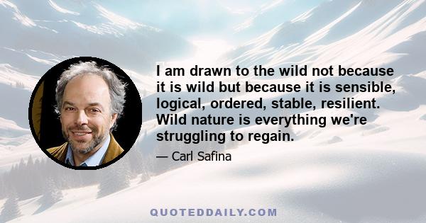 I am drawn to the wild not because it is wild but because it is sensible, logical, ordered, stable, resilient. Wild nature is everything we're struggling to regain.