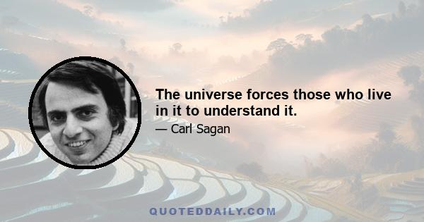 The universe forces those who live in it to understand it.