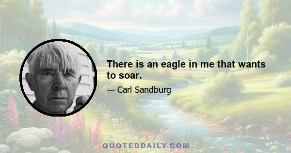 There is an eagle in me that wants to soar.