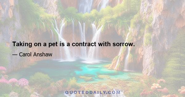 Taking on a pet is a contract with sorrow.