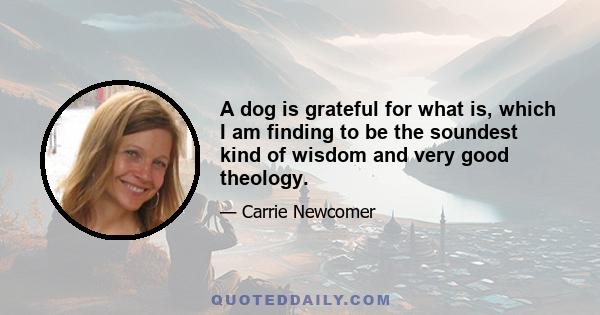 A dog is grateful for what is, which I am finding to be the soundest kind of wisdom and very good theology.
