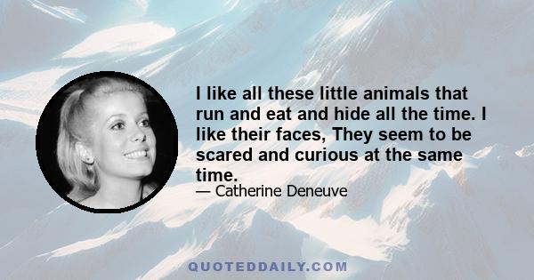 I like all these little animals that run and eat and hide all the time. I like their faces, They seem to be scared and curious at the same time.