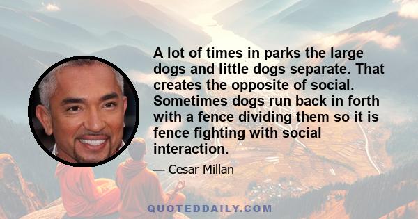 A lot of times in parks the large dogs and little dogs separate. That creates the opposite of social. Sometimes dogs run back in forth with a fence dividing them so it is fence fighting with social interaction.