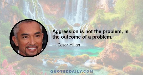 Aggression is not the problem, is the outcome of a problem.