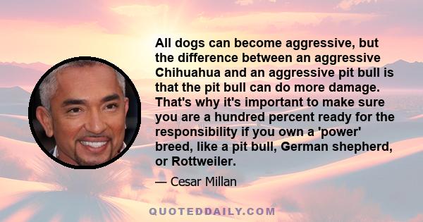 All dogs can become aggressive, but the difference between an aggressive Chihuahua and an aggressive pit bull is that the pit bull can do more damage. That's why it's important to make sure you are a hundred percent