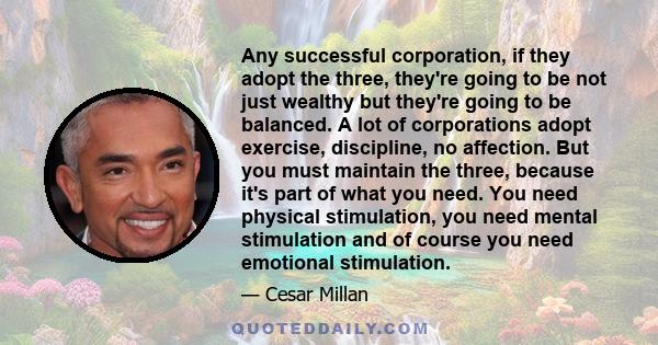 Any successful corporation, if they adopt the three, they're going to be not just wealthy but they're going to be balanced. A lot of corporations adopt exercise, discipline, no affection. But you must maintain the