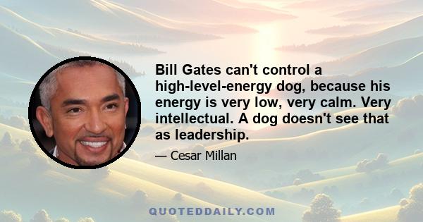 Bill Gates can't control a high-level-energy dog, because his energy is very low, very calm. Very intellectual. A dog doesn't see that as leadership.