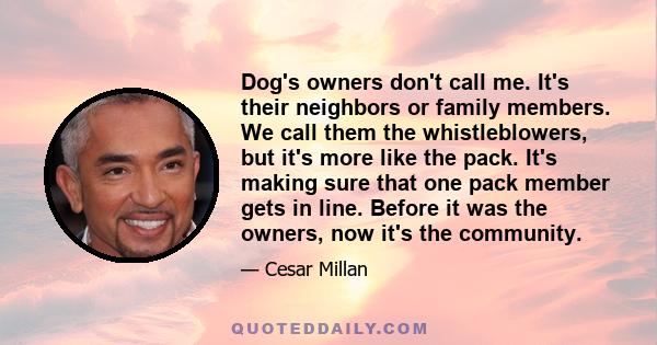 Dog's owners don't call me. It's their neighbors or family members. We call them the whistleblowers, but it's more like the pack. It's making sure that one pack member gets in line. Before it was the owners, now it's