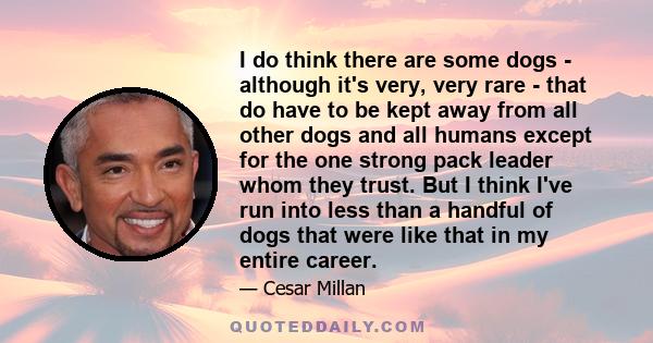 I do think there are some dogs - although it's very, very rare - that do have to be kept away from all other dogs and all humans except for the one strong pack leader whom they trust. But I think I've run into less than 