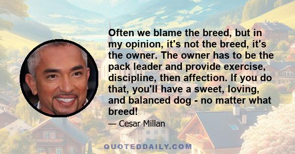 Often we blame the breed, but in my opinion, it's not the breed, it's the owner. The owner has to be the pack leader and provide exercise, discipline, then affection. If you do that, you'll have a sweet, loving, and