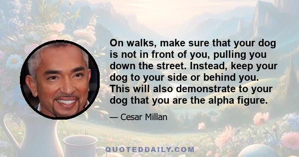 On walks, make sure that your dog is not in front of you, pulling you down the street. Instead, keep your dog to your side or behind you. This will also demonstrate to your dog that you are the alpha figure.